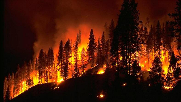 消防知識(shí) 丨 5種火災(zāi)不能用水撲救，你知道嗎？